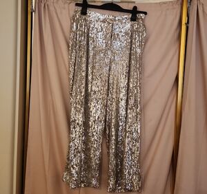 Express Silver Sequin Pants
